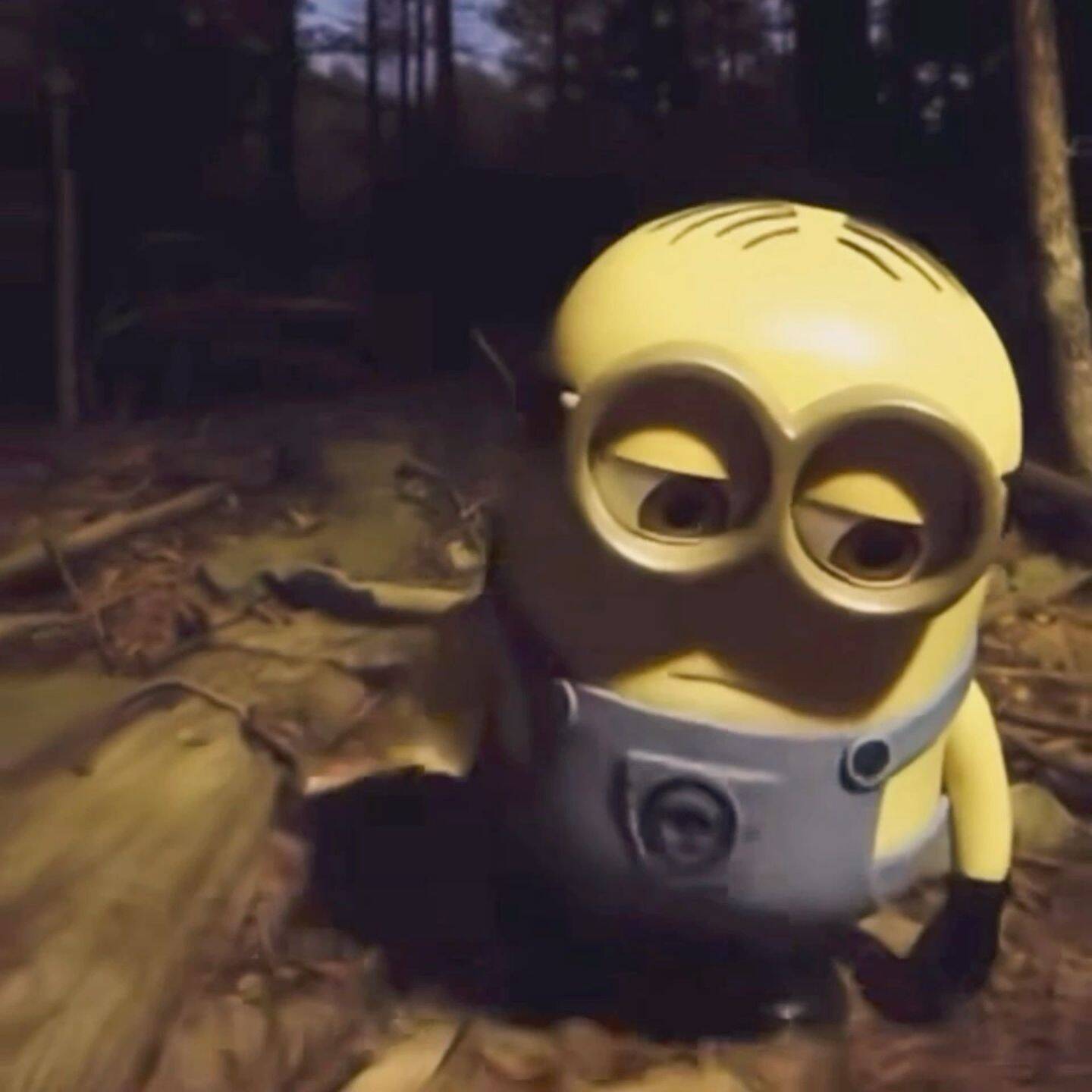 Foto para Perfil Triste do Minion Sozinho na Floresta