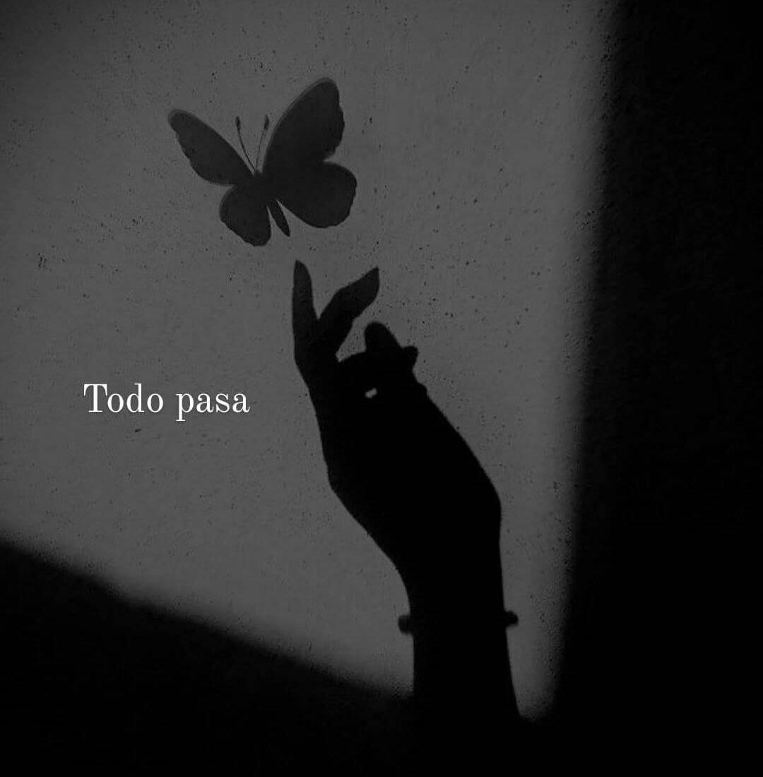 Picture for Sad Pfp Profile of Hand Attracting Butterfly