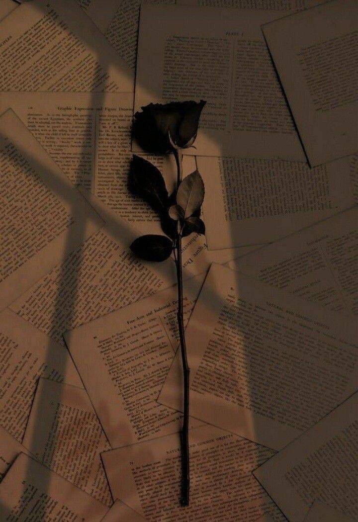 Picture for Rosa's Sad Pfp Profile on Book Pages
