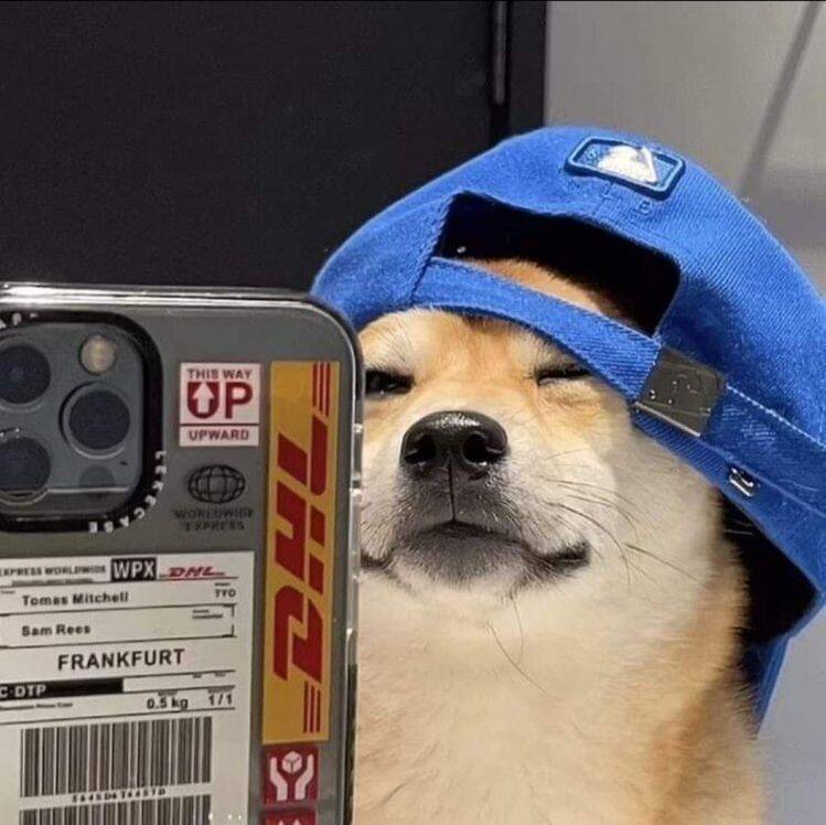 Foto de Perfil para Instagram Engraçada de Cachorro Fofo