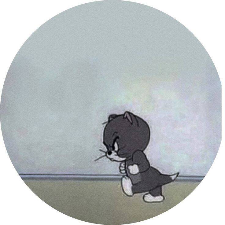 Imagen de perfil de Instagram de gato lindo y divertido