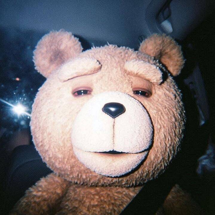 Foto de perfil de Instagram de osito de peluche divertido