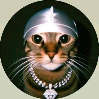 Foto de perfil de Instagram de gato con estilo divertido