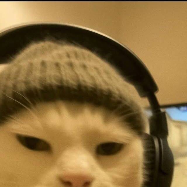 Foto de perfil de Instagram de gato divertido con auriculares
