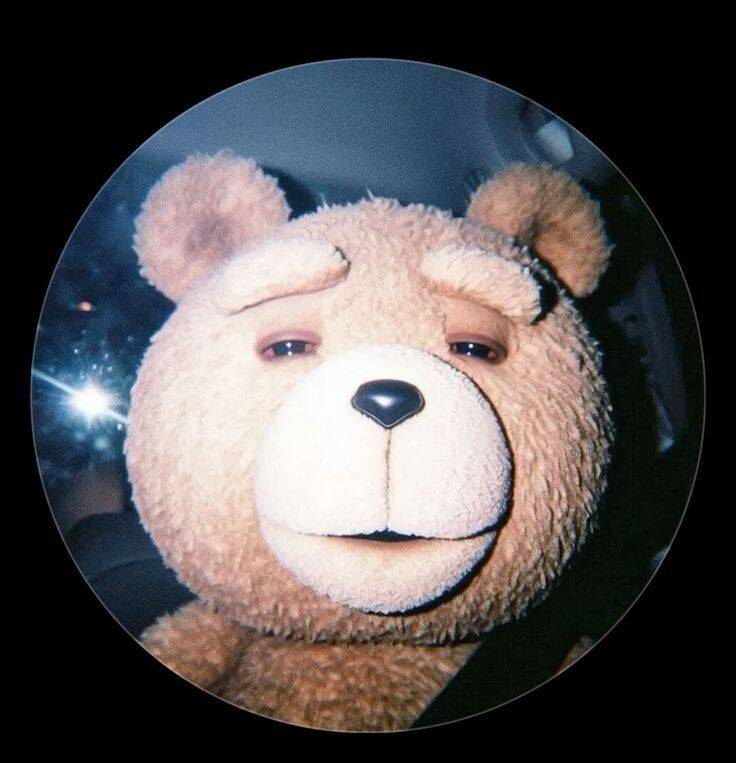 Foto de perfil de Whatsapp de osito de peluche divertido