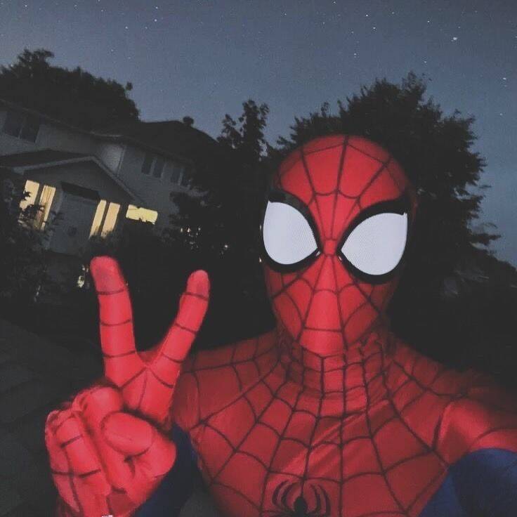Imagen De Perfil De Whatsapp De Spiderman De Estilo Divertido
