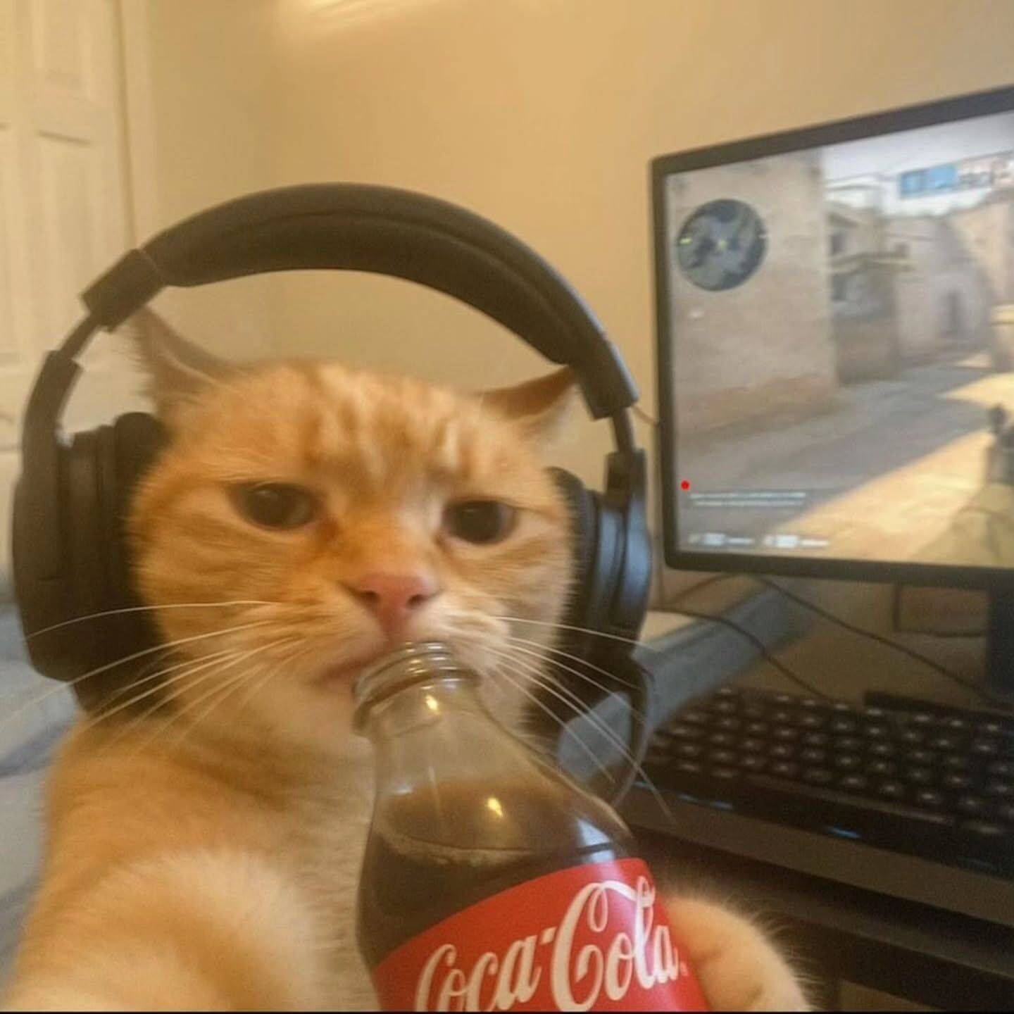 Foto de Perfil para Instagram Engraçada de Gato Jogador