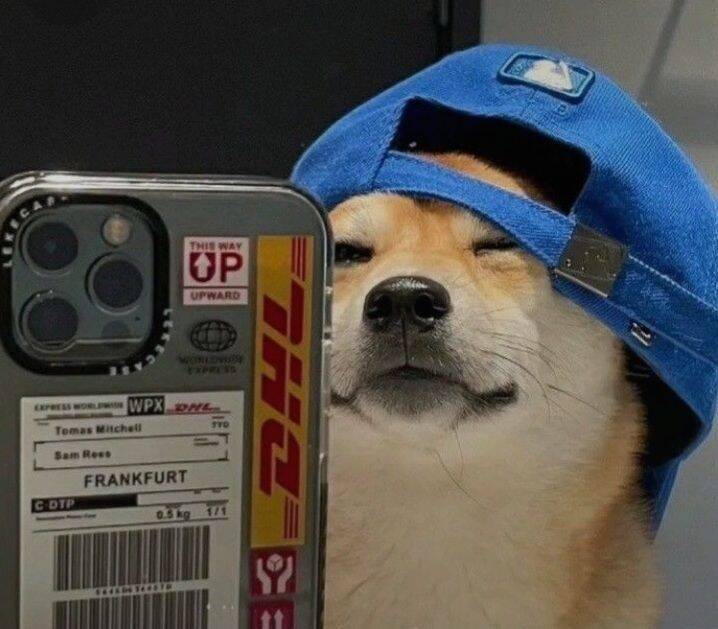 for men Pfp Profile Picture of Stylish Dog with Cap