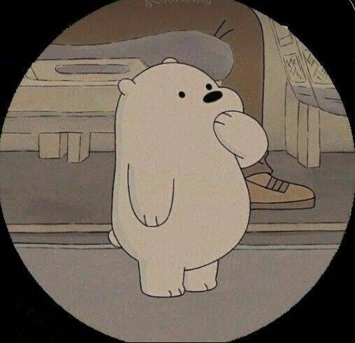 Foto de Perfil do Whatsapp Engraçada de Urso Fofo