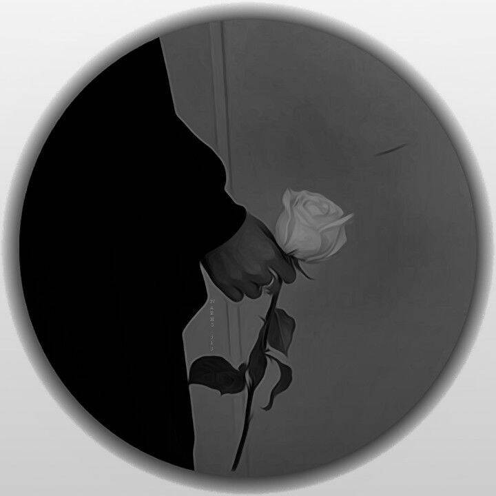 Foto de Perfil do Whatsapp Feminina com Rosa Elegante