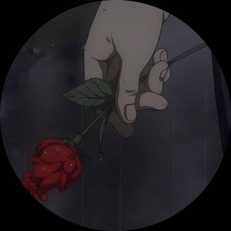 Foto de Perfil do Whatsapp Masculina com Rosa