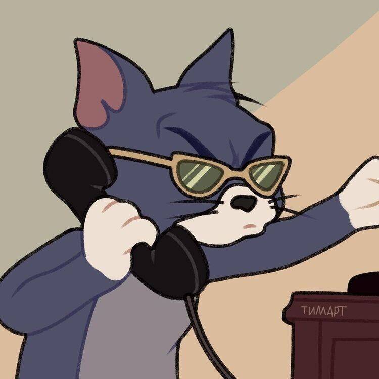 Foto de Perfil do Whatsapp Engraçada de Gato com Óculos