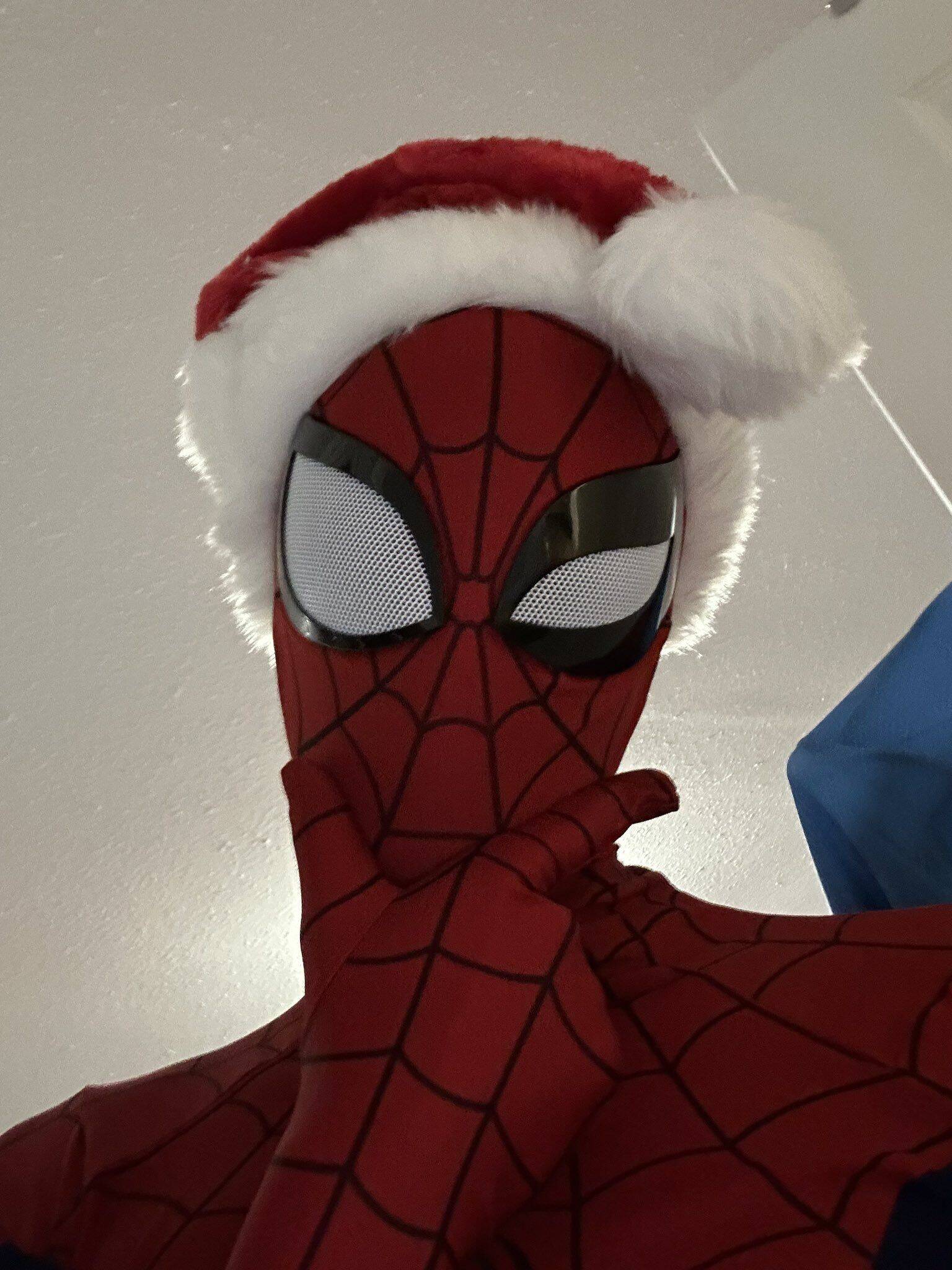 Foto de Perfil Masculino do Homem Aranha com Chapéu de Natal