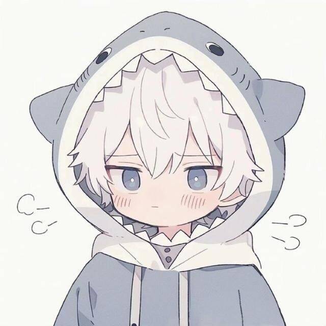 Photo de profil Homme d'un garçon à Shark Hood