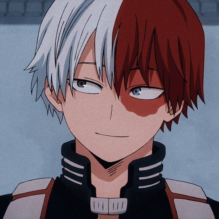 Foto de anime para el perfil Shoto Todoroki