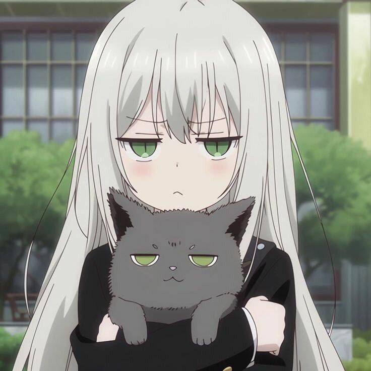 Foto de Anime para Perfil Garota com Gato Cinza