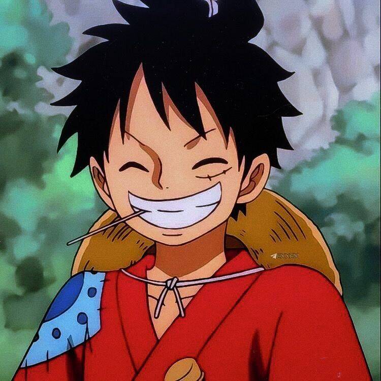 Foto de anime para el perfil de Luffy sonriente