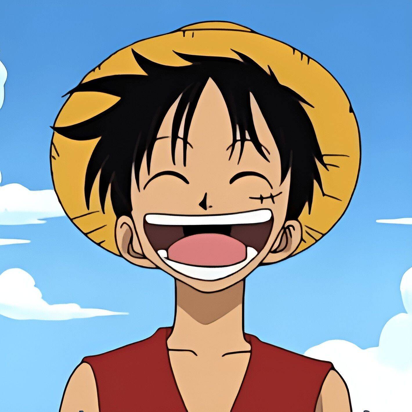 Anime Picture for Smiling Luffy Pfp Profile