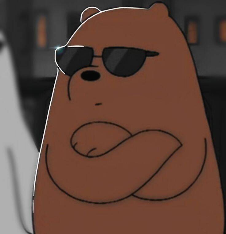 Divertida foto de perfil de un oso con gafas de sol