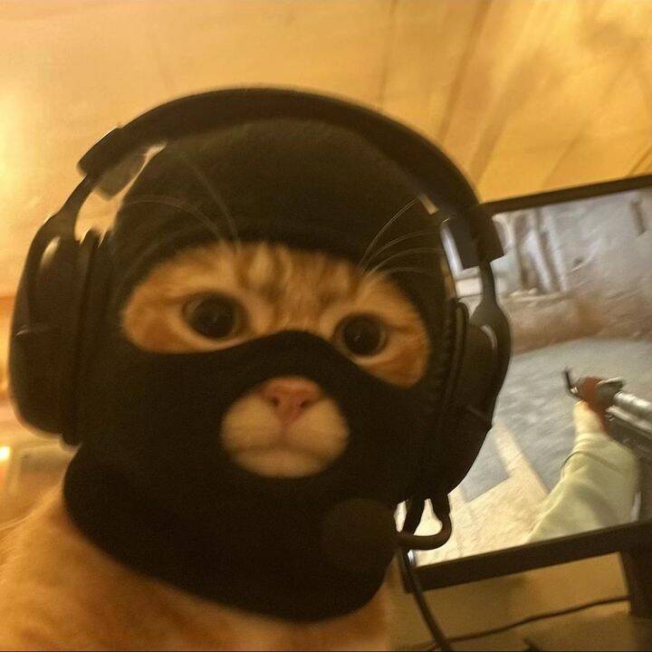 Divertida foto de perfil de Gamer Cat con auriculares