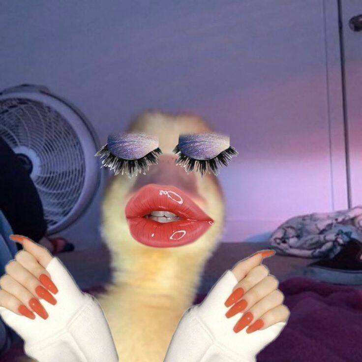Foto de perfil divertida de pato con maquillaje divertido
