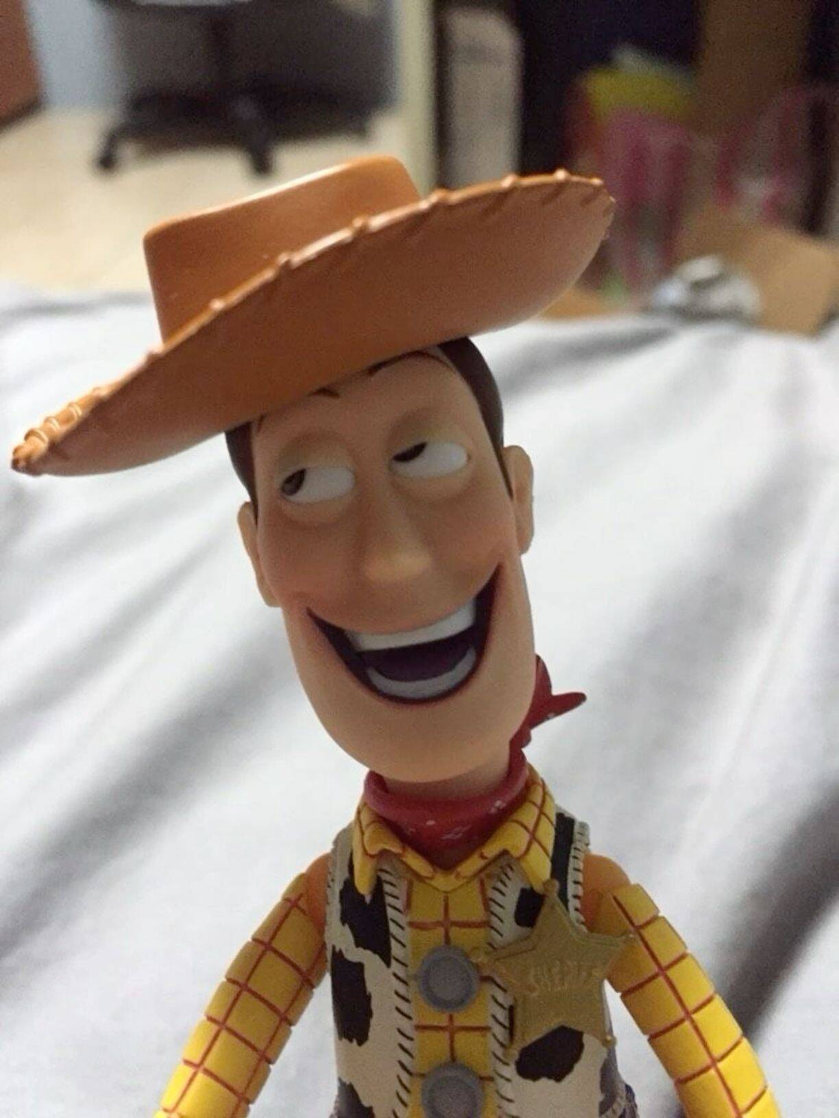 Foto Engraçada para Perfil de Boneco de Cowboy Sorridente