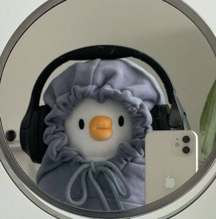 Foto Engraçada para Perfil de Pinguim com Fone de Ouvido