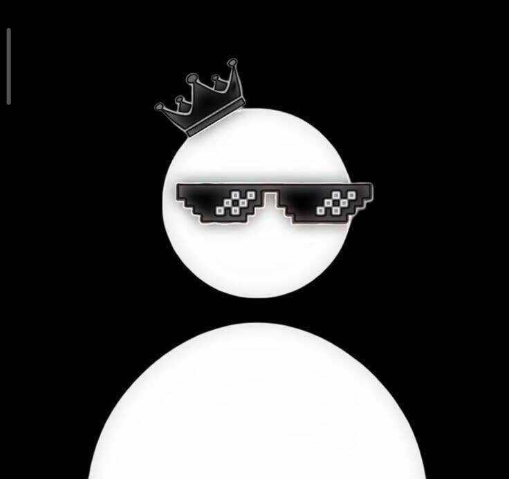 Foto de perfil para Discord con gafas pixeladas y corona