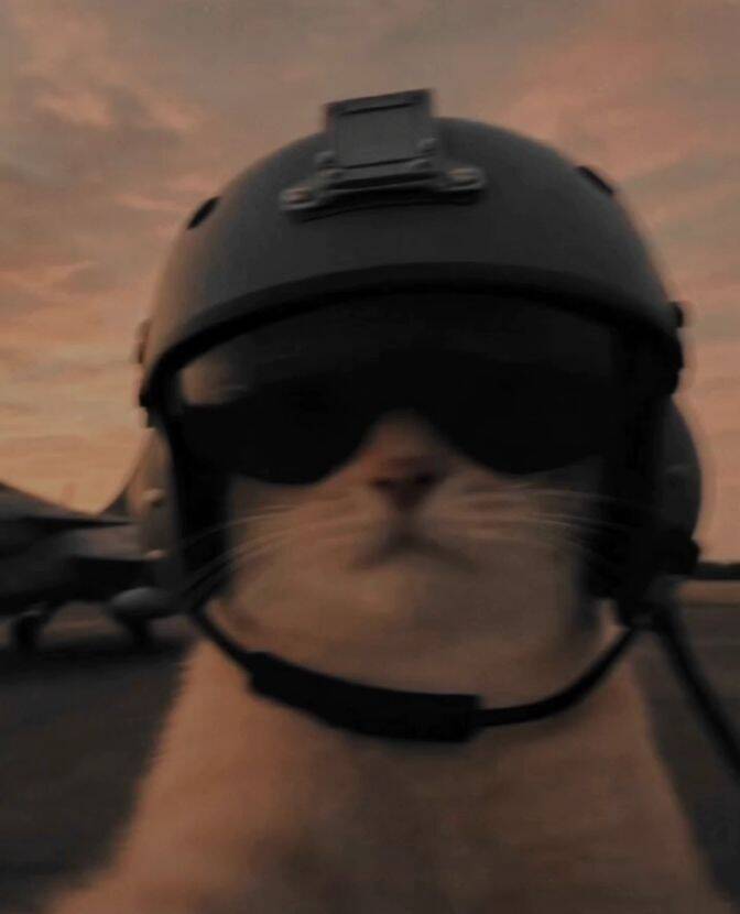 Foto de perfil para Discord de Gato Aviador
