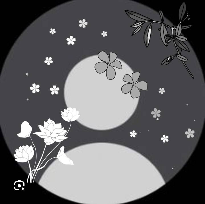 Foto de Perfil para Instagram Feminino com Flores em Preto e Branco