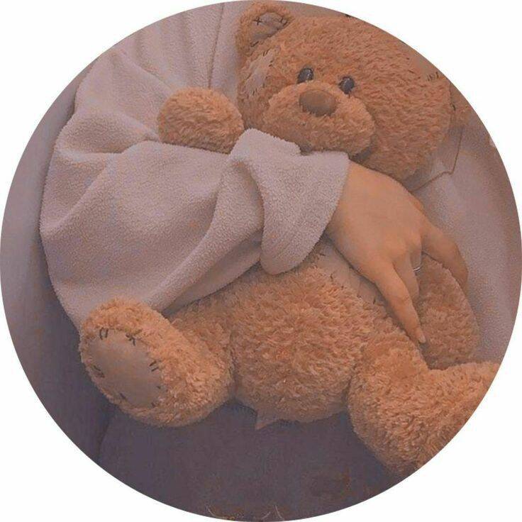 Foto Para Perfil do Whatsapp Feminino com Urso de Pelúcia