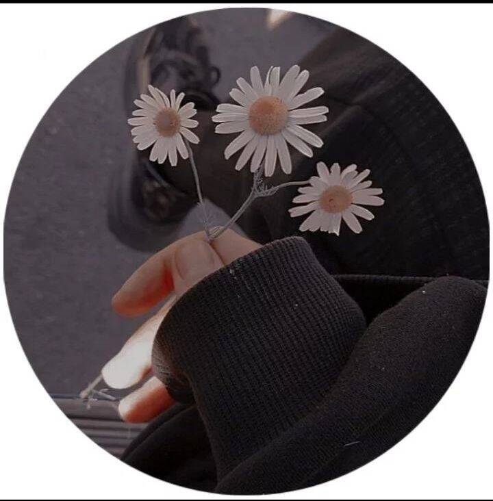 Foto Para Perfil Bonita e Fofa com Flores em Mão Estilo Aesthetic