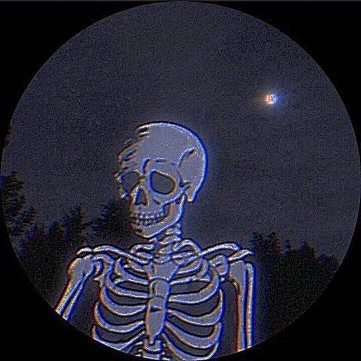 Imagem Para Perfil do WhatsApp de Esqueleto Estiloso