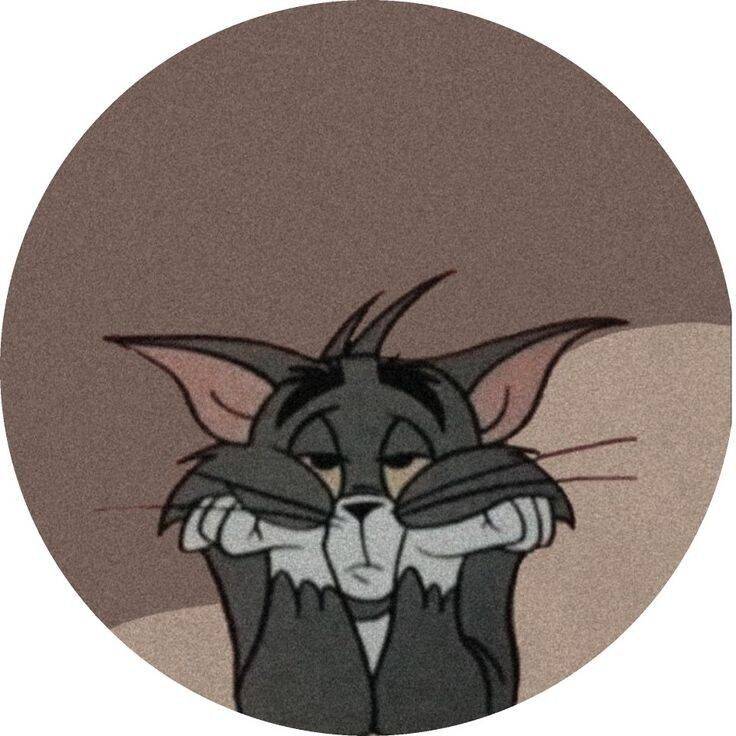 Imagem Para Perfil do WhatsApp do Gato Triste