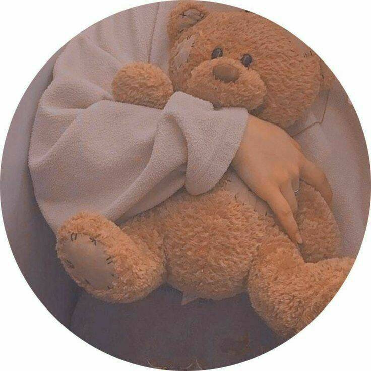 Imagem Para Perfil do WhatsApp com Urso de Pelúcia Fofo