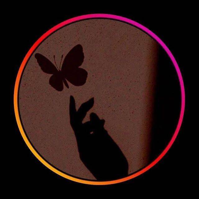 Foto Para Perfil Bonita e Fofa de Sombra de Mão com Borboleta