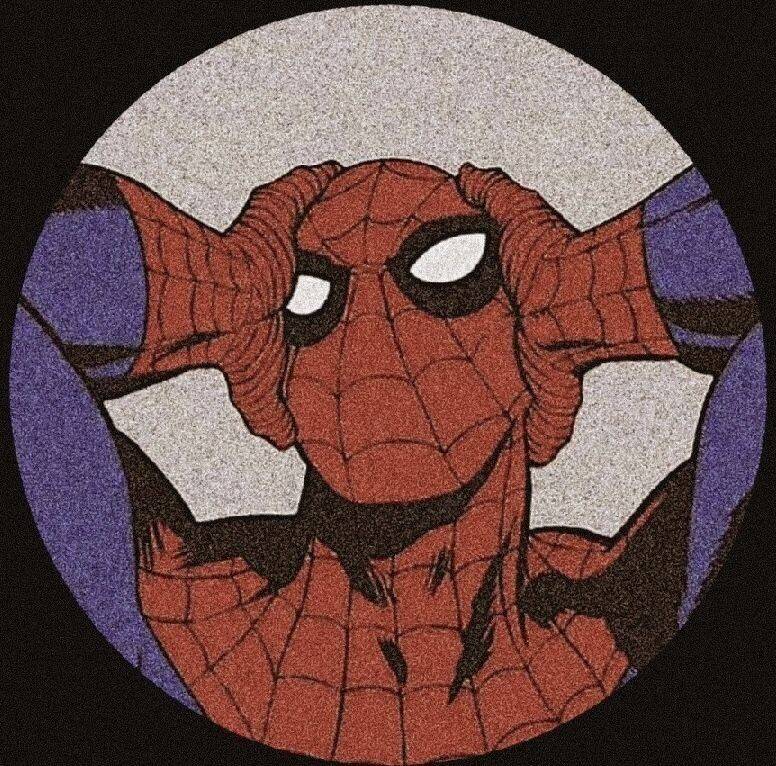 Imagem Para Perfil do WhatsApp do Homem Aranha Engraçada