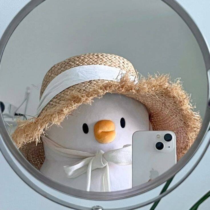 Foto Para Perfil Bonita e Fofa de Pinguim com Chapéu Estilo Aesthetic