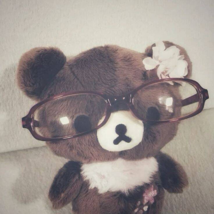 Foto Para Perfil Bonita e Fofa de Ursinho de Peluche com Óculos