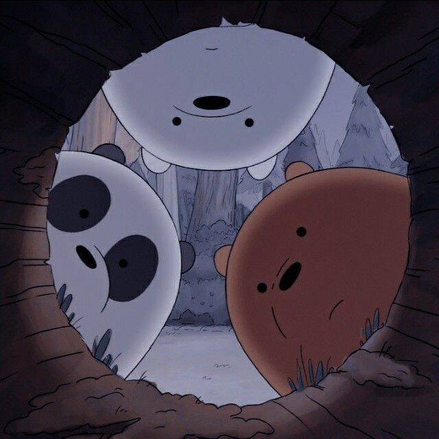 Imagem Para Perfil do WhatsApp dos Ursos Engraçados