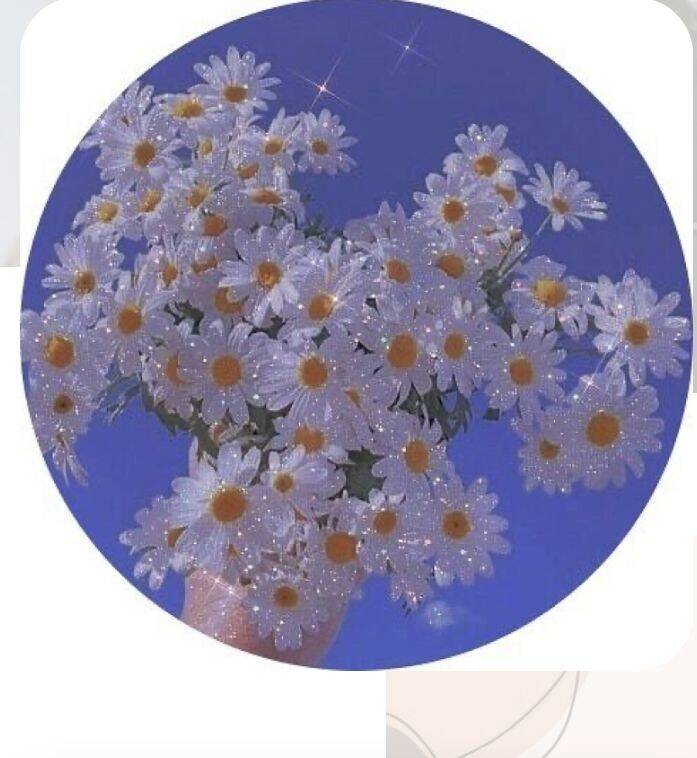 Imagem Para Perfil do WhatsApp de Flores Brancas Delicadas