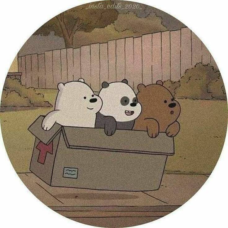 Imagem Para Perfil do WhatsApp de Ursos Animados