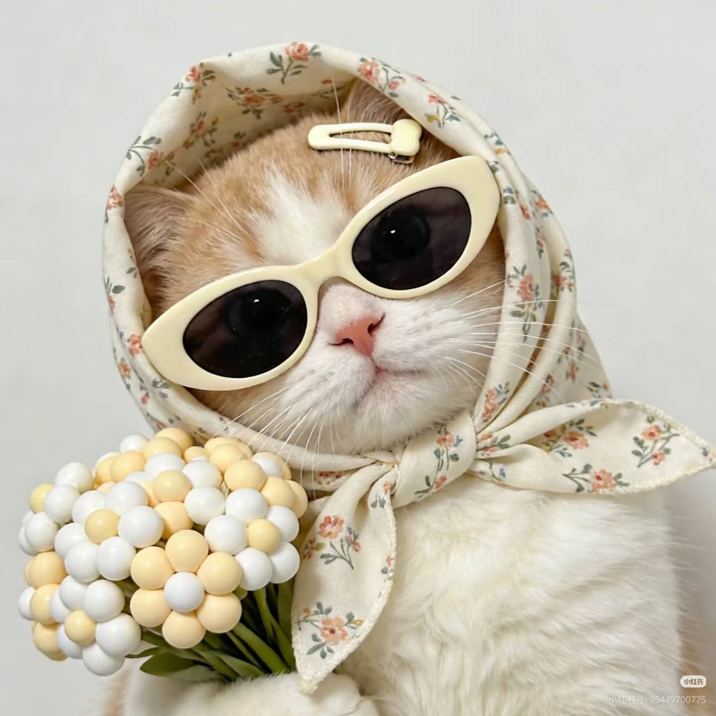 Foto de Perfil de Gato Fofo com Óculos e Lenço