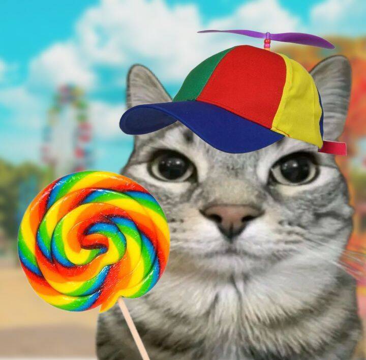 Photo de profil d'un chat drôle avec une casquette colorée et une sucette