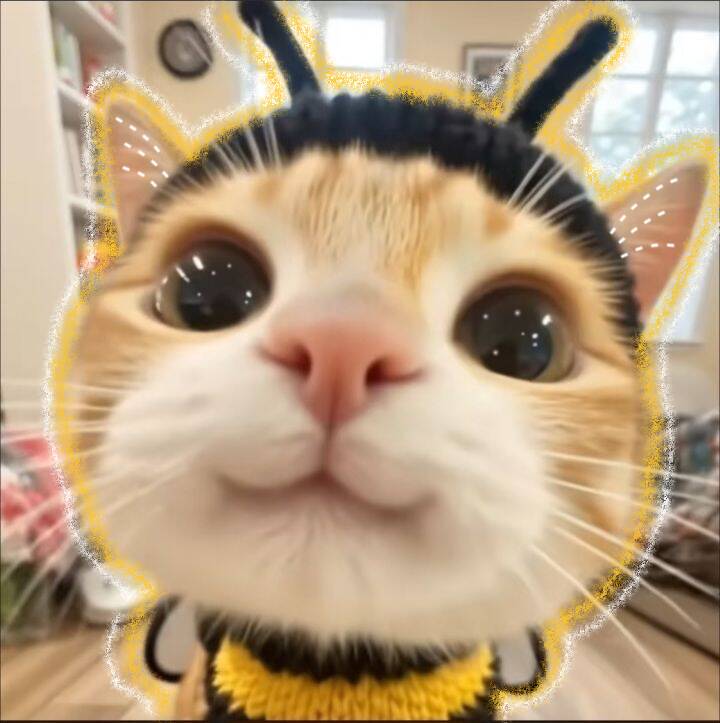 Foto de Perfil de Gato Fofo Vestido de Abelha
