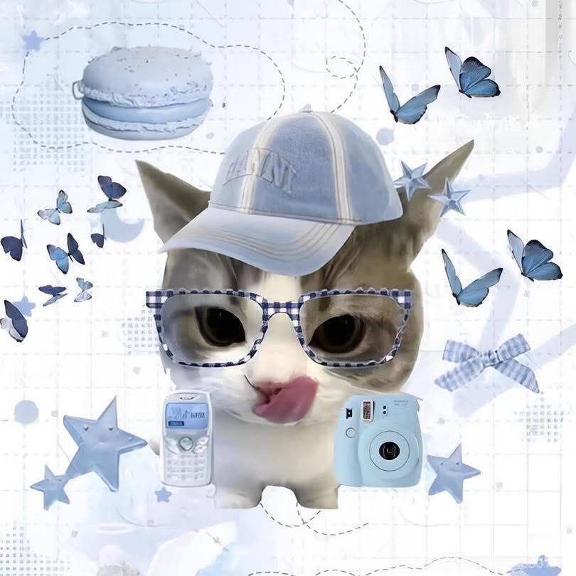 Foto de Perfil de Gato Fofo com Óculos e Boné