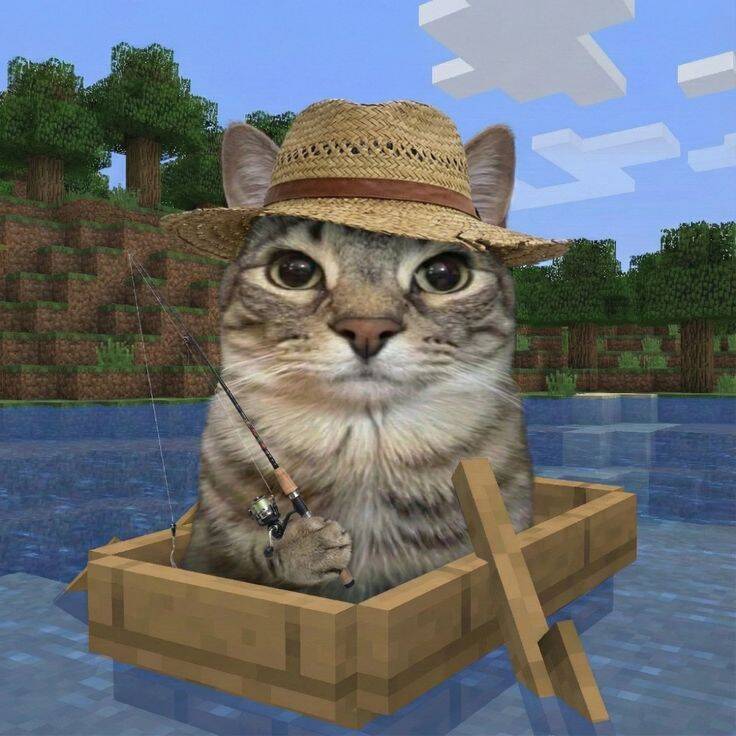 Foto de Perfil de Gato Engraçado Pescando em Barco