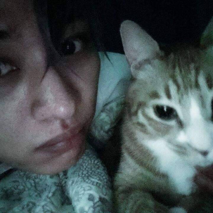 Foto de Perfil de Gato Fofo com Olhos Grandes e Carinha Engraçada