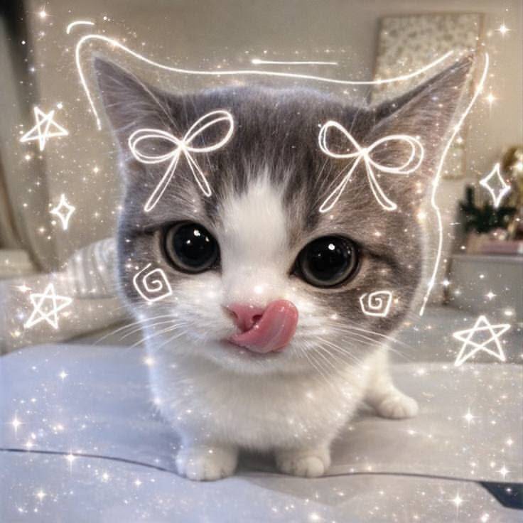 Foto de Perfil de Gatinho Fofo com Língua de Fora e Laços