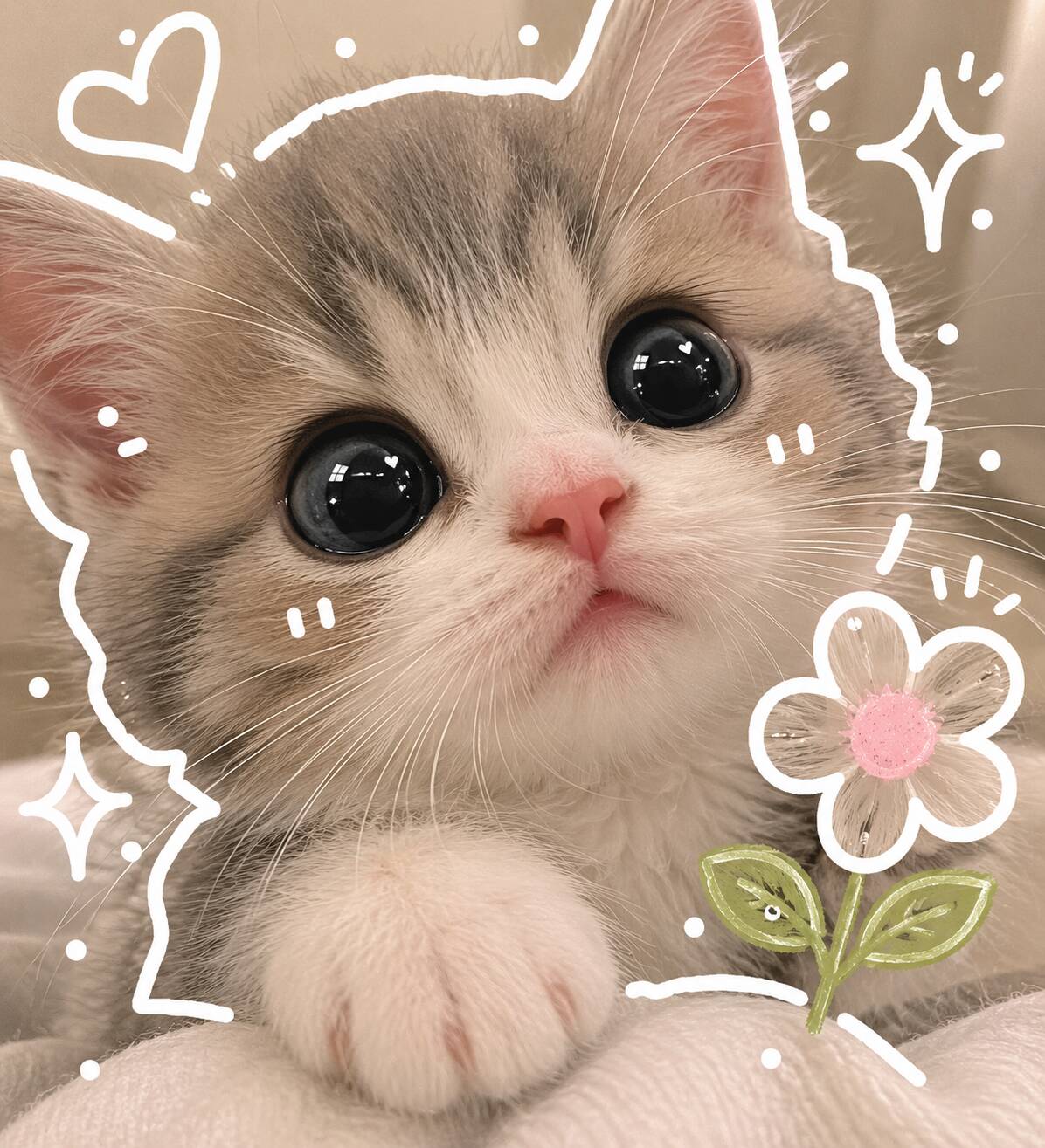Foto de perfil de lindo gatito con ojos grandes y flor